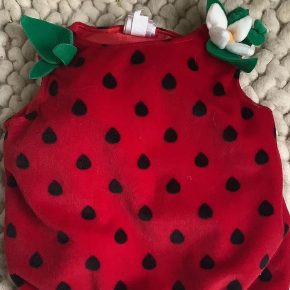 Baby costume